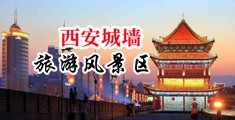 啊…好爽…哦…用力插视频中国陕西-西安城墙旅游风景区