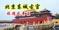 美女胸部(18岁以下勿看)APP中国北京-东城古宫旅游风景区